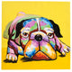 Dazzling Bulldog. 100% hand painted oil on canvas. Framed - Fun Animal Art