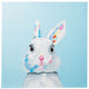 Cute Bunny Rabbit. 100% hand painted oil on canvas. Framed - Fun Animal Art